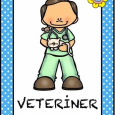 Veteriner Resmi: Hayvan Sağlığı ve Bakımı Eğitimi