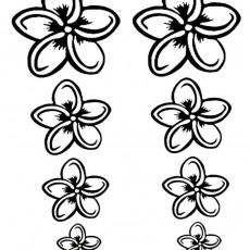 ilkbahar  (108).jpg