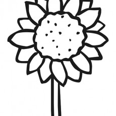 ilkbahar  (85).jpg