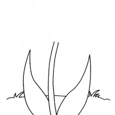 ilkbahar  (99).jpg