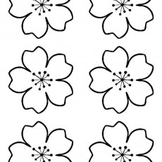 ilkbahar  (72).jpg