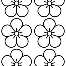 ilkbahar  (77).jpg