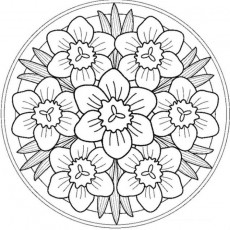 ilkbahar  (96).jpg