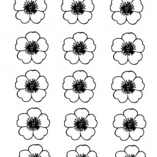 ilkbahar  (74).jpg