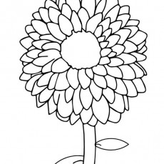 ilkbahar  (70).jpg