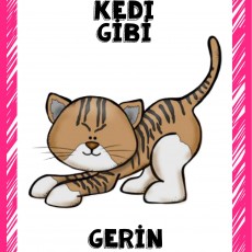 KEDİ GİBİ GERİN: Hayvan davranışları ve esneme eğitimi
