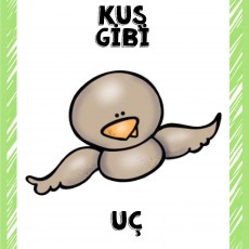 KUS GIBI UÇ - Kuşların Uçuş Özellikleri ile İlgili Eğitim Materyali