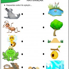 Hayvanlar ve Yaşam Alanları Eşleştirme Etkinliği - Eğitim Materyali