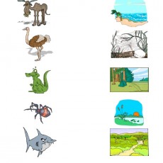 Hayvanlar ve Doğa Manzaraları | 1. Karaca (Moose), 2. Devekuşu (Ostrich), 3. Kertenkele (Lizard), 4. Arı (Spider), 5. Köpekbalığı (Shark) | 1. Sahil (Beach), 2. Bataklık (Wetland), 3. Orman (