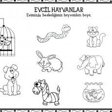 Evcil Hayvanlar Boyama Sayfası: Kedi, Fil, Yılan, Tavşan, Zebra, Kuş, Kedi ve Köpek