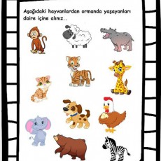 Ormanda Yaşayan Hayvanlar Eğitici Materyali: Hayvanları Daireye Alma Aktiviteleri (Sayı: 10)