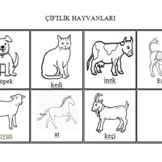 Çiftlik Hayvanları - Eğitsel Kartlar (1, İnek, Kedi, At, Köpek, Eşek, Koyun)