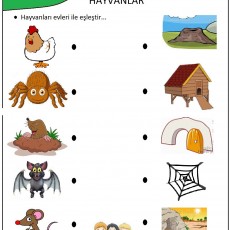 Hayvanlar ve Evleri Eşleştirme Etkinliği - Eğitim Materyali