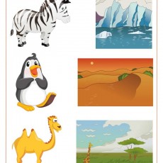 Hayvanlar ve Doğal Ortamlar: Zebra, Penguen, Deve, Zürafa, Buzullar, Çöl Manzarası