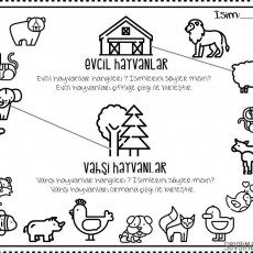 Evcil ve Vahşi Hayvanlar Eğitici Materyali - 2 Evcil Hayvan, 8 Vahşi Hayvan