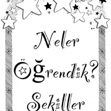 Neler Öğrendik? Şekiller Eğitimi