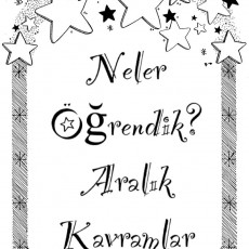 Eğitim Materyali: Neler Öğrendik? Aralık Kavramlar