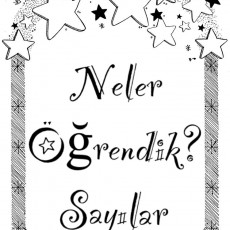Neler Öğrendik? Sayılar - Eğitsel İçerik