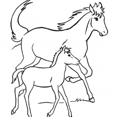 İkili At Çizimi: Anne At ve Yavru Foal