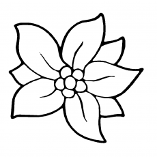 Çizgisel Çiçek Deseni - Eğitim ve Boyama Etkinliği