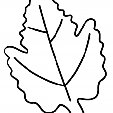 Ağaç Yaprağı Çizimi