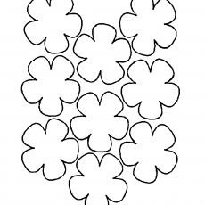 10_Blooming_Flowers_Activity_Sheet