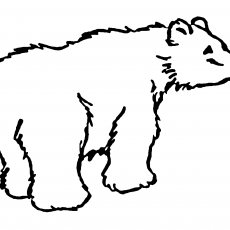 Kutuptaşıyan Ayı Çizimi - Polar Bear Drawing