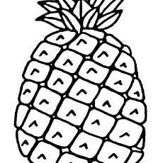 Ananas - Meyve Çizimi