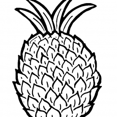 Ananas Çizimi - Meyve ve Botanik Eğitimi