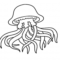 JELLYFISH Coloring Page: Educational Marine Biology Activity