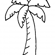 Palm Tree Drawing - Educational Art
