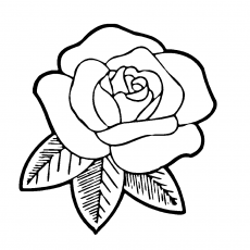 Rose Flower Coloring Page - Educational Art Activity