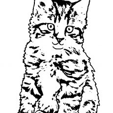Sevimli Kedi Çizimi - Çocuklara Yönelik Eğitici Etkinlik