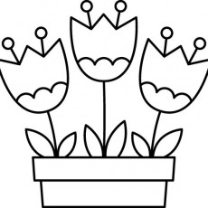 Üç Çiçekli Saksı Çizimi (3 Flowers in a Pot Drawing)
