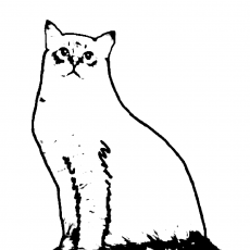 Beyaz ve Siyah Çizgili Kedi İllüstrasyonu