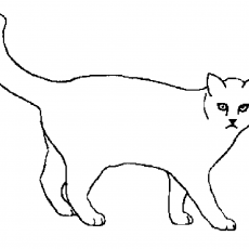 Çizilmiş Beyaz Kedi Karakteri