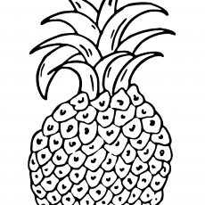 Ananas - 1 (Bir adet ananas çizimi)