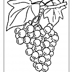 Grapes Coloring Page - Educational Fruit Illustration