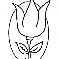 Çizilmiş Lale Çiçeği Deseni