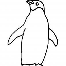 Penguin Line Drawing - Eğitim Materyali