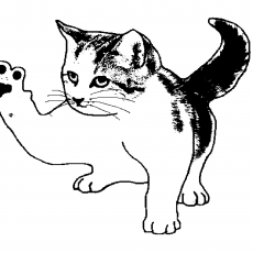 Karikatür Tarzında Bir Kedi İllüstrasyonu