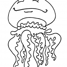 Sevimli Jellyfish: Eğlenceli ve Öğretici Jelkenli