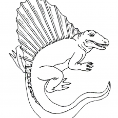 Spinosaurus Anatomik Çizimi