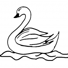 Swan Illustration - Drawing Activity for Kids