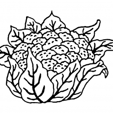 Boyalı Çiçek Deseni - Eğitim Materyali