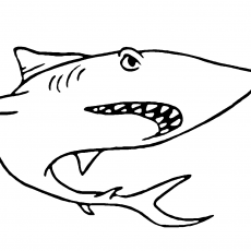 Çizgi Film Tarzında Ahtapot: Shark (Balık)