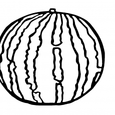 Su Kabağı Çizimi - Melon Illustration