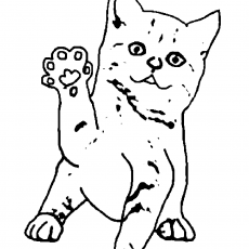 Sevimli Kedi Renkli Boyama Etkinliği
