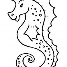 Denizatı (Seahorse) Çizim Aktiviteleri
