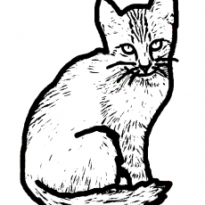 Kedi Çizimi - Hayvan Eğitimi